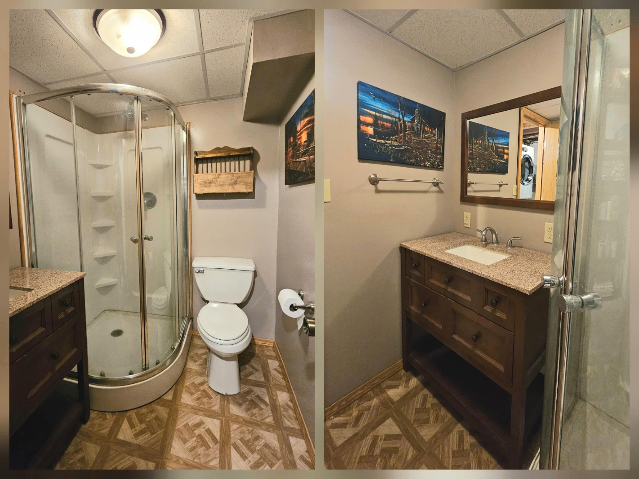 Lower level Bathroom