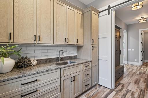 525 Smithtown Court, Excelsior, MN 55331