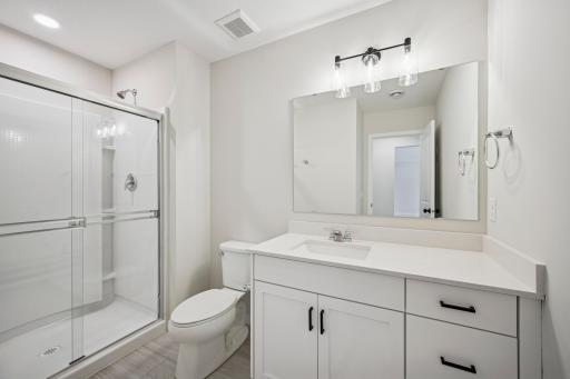 Lower Level bathroom