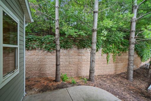 17820 Valley Cove Court, Wayzata, MN 55391