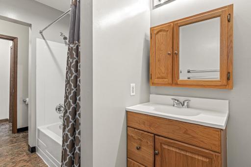 Lower Level Bathroom