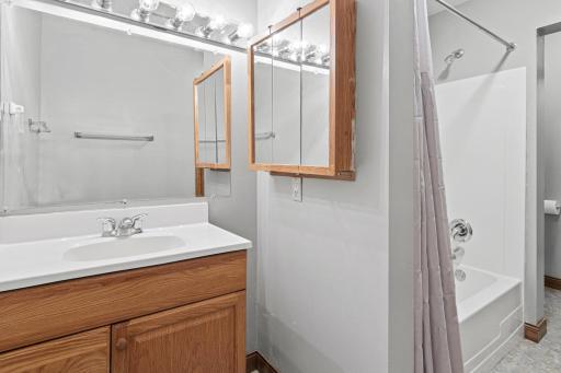 Lower Level Full Bathroom