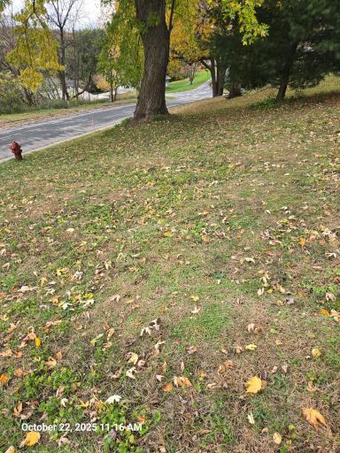 401 Oak Drive NW, Preston, MN 55965