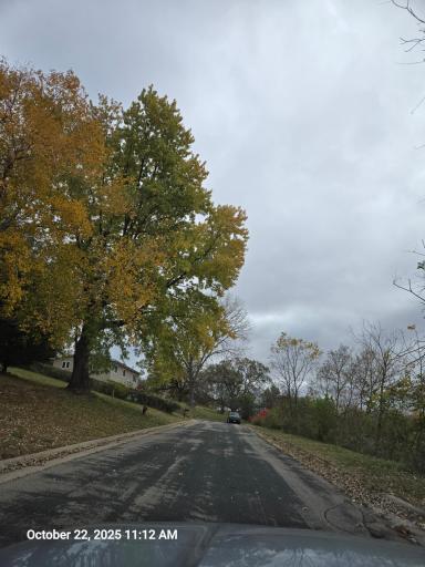 315 Oak Drive NW, Preston, MN 55965