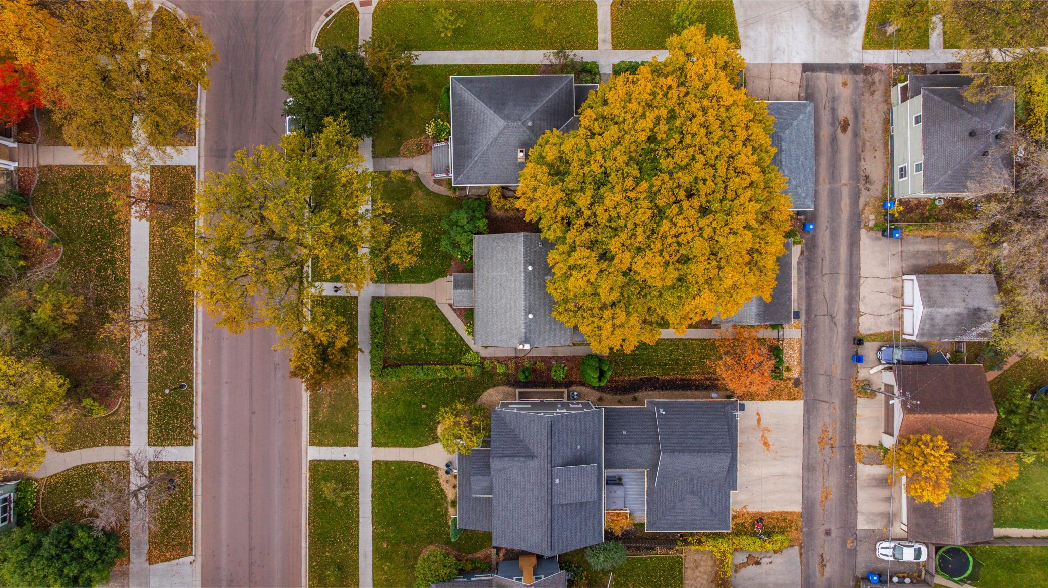 Ariel View