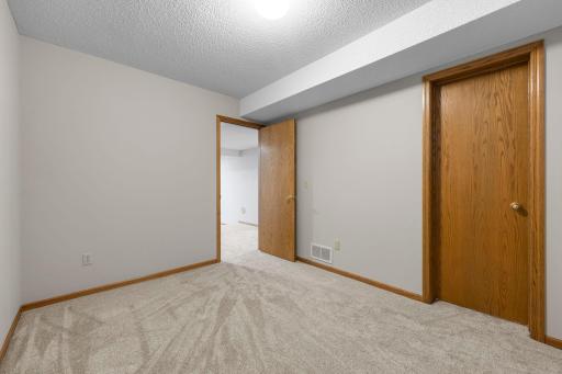 Lower level 5th bedroom