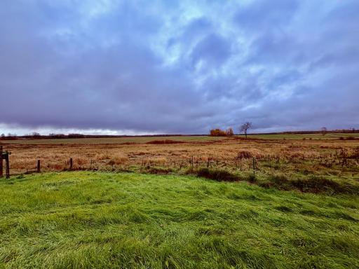 View looking south from house