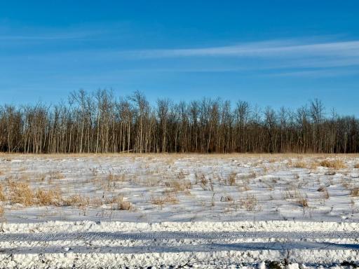 Pasture area and wooded areas