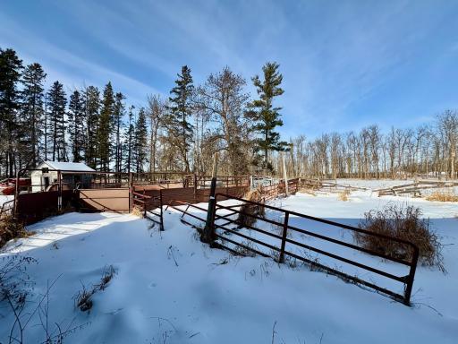 Corrals and livestock shoots for working with livestock closely
