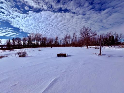 Front yard looking west