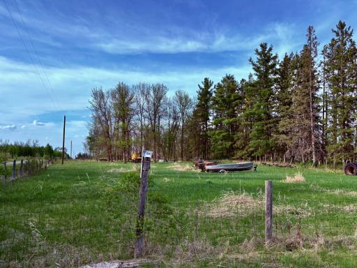 North farm yard
