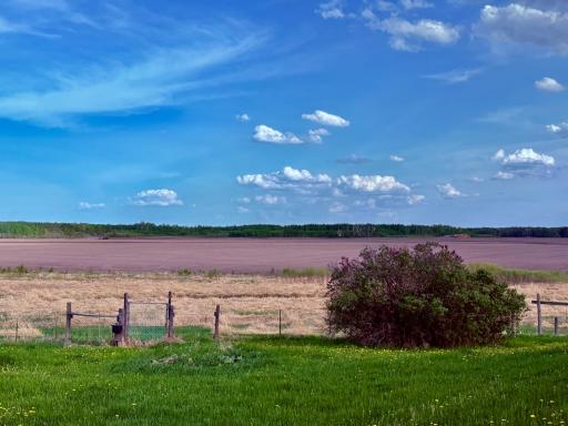 Great views