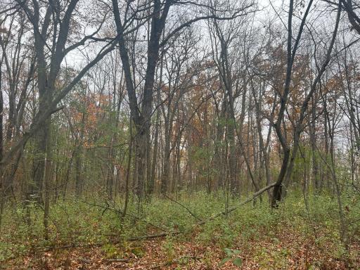 Photo for 178xx 50th Avenue, Ogilvie, MN 56358 - listing #6808408 178xx 50th Avenue, Ogilvie, MN 56358