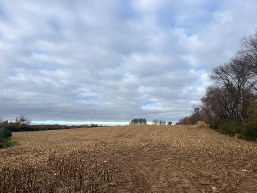 Beautiful 6.58 acres in Stanchfield Township!