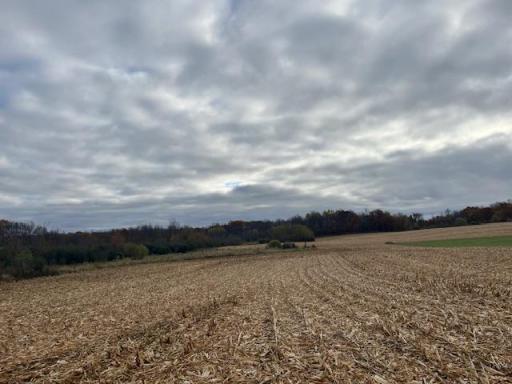 Photo for TBD (L2B1) Packard Street NE, Stanchfield, MN 55080 - listing #6808418 Beautiful 11.25 acre lot in Stanchfield Township!