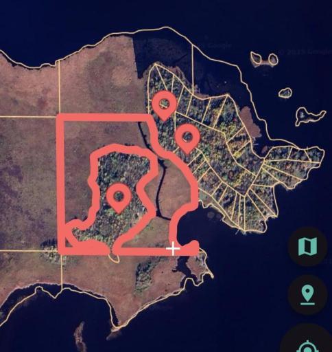 1915 Lynx Island, International Falls, MN 56649