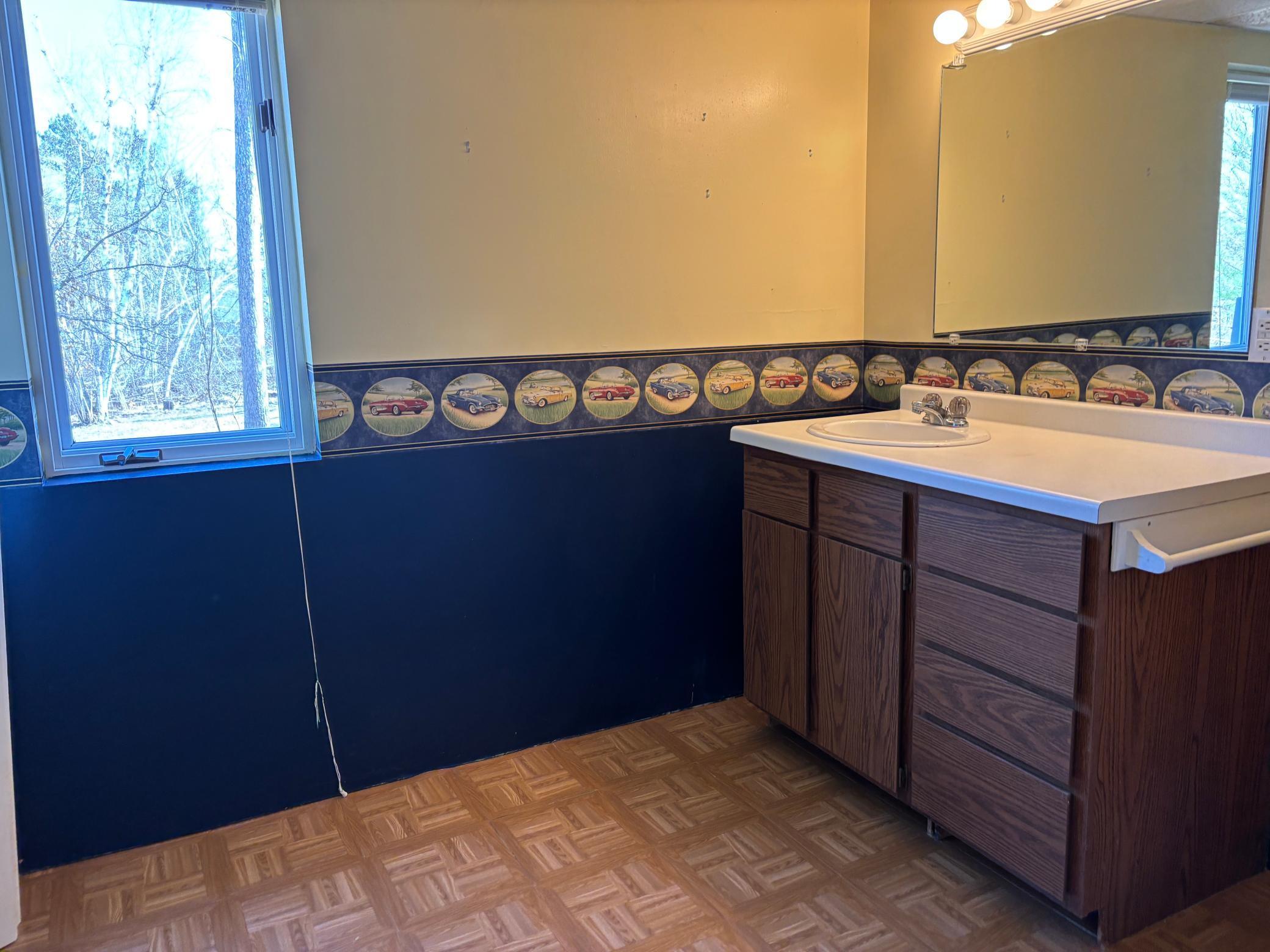 The lower level bathroom.