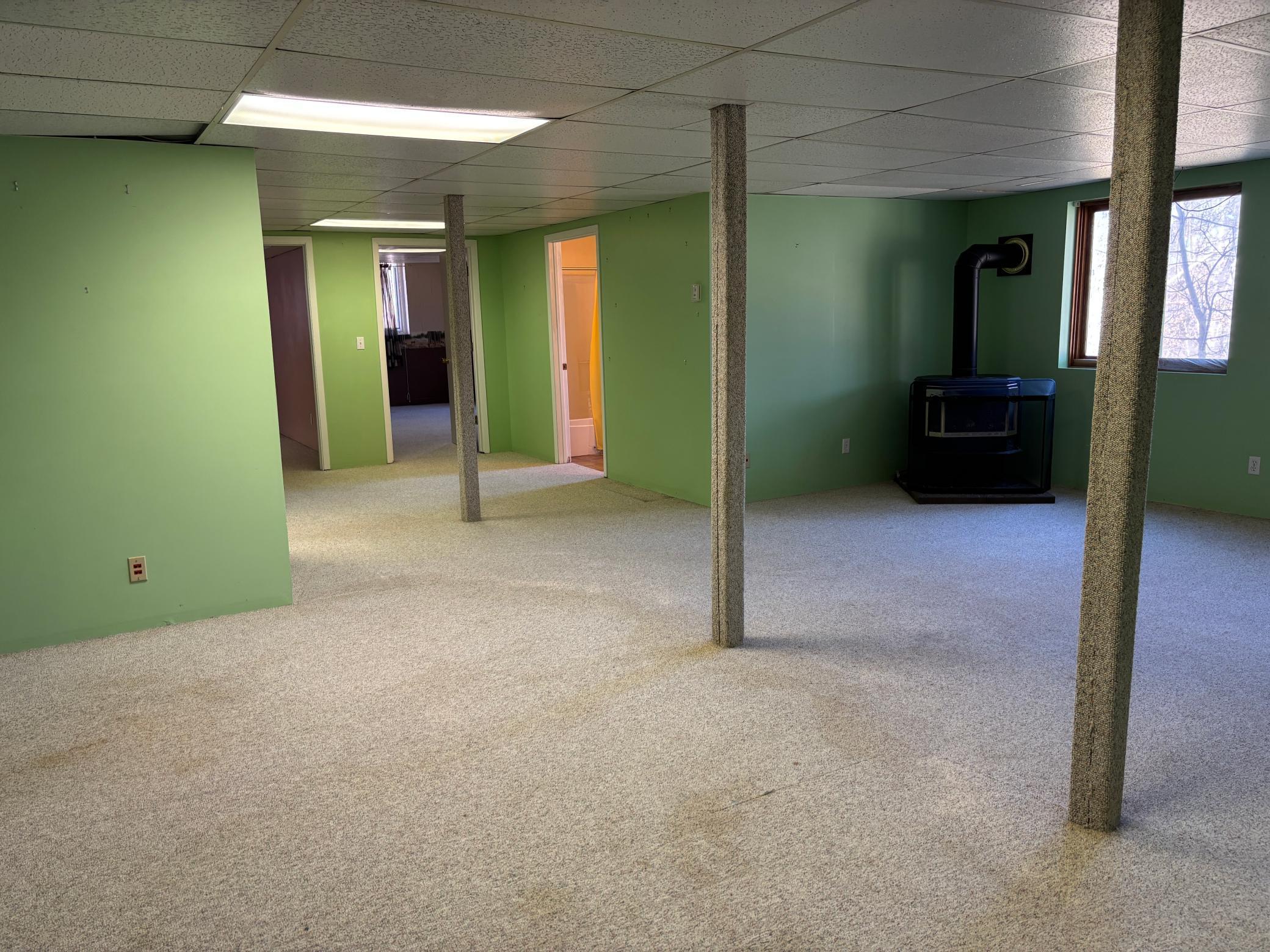 The lower level family room (walk-out).