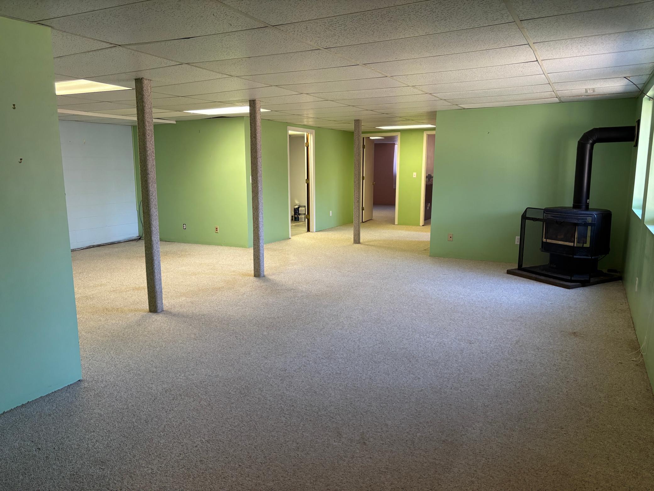 The lower level family room (walk-out).