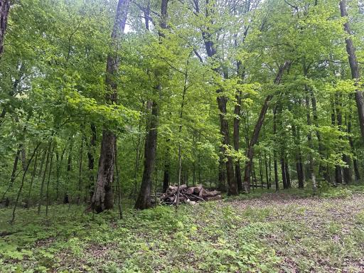 8309 County Road 19 SE, Rochester, MN 55904