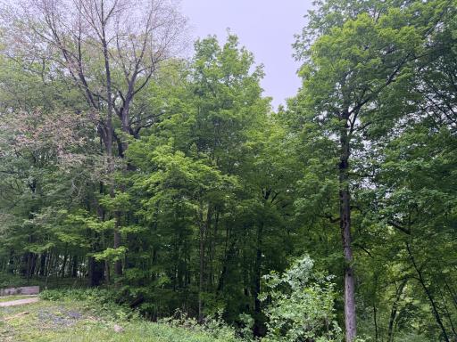 8309 County Road 19 SE, Rochester, MN 55904