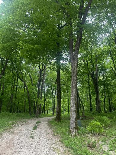 8309 County Road 19 SE, Rochester, MN 55904