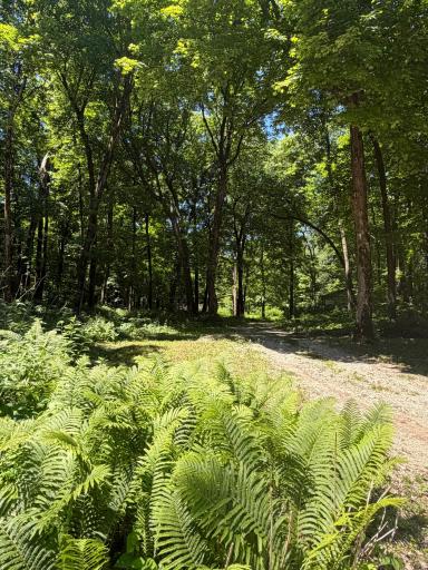 8309 County Road 19 SE, Rochester, MN 55904