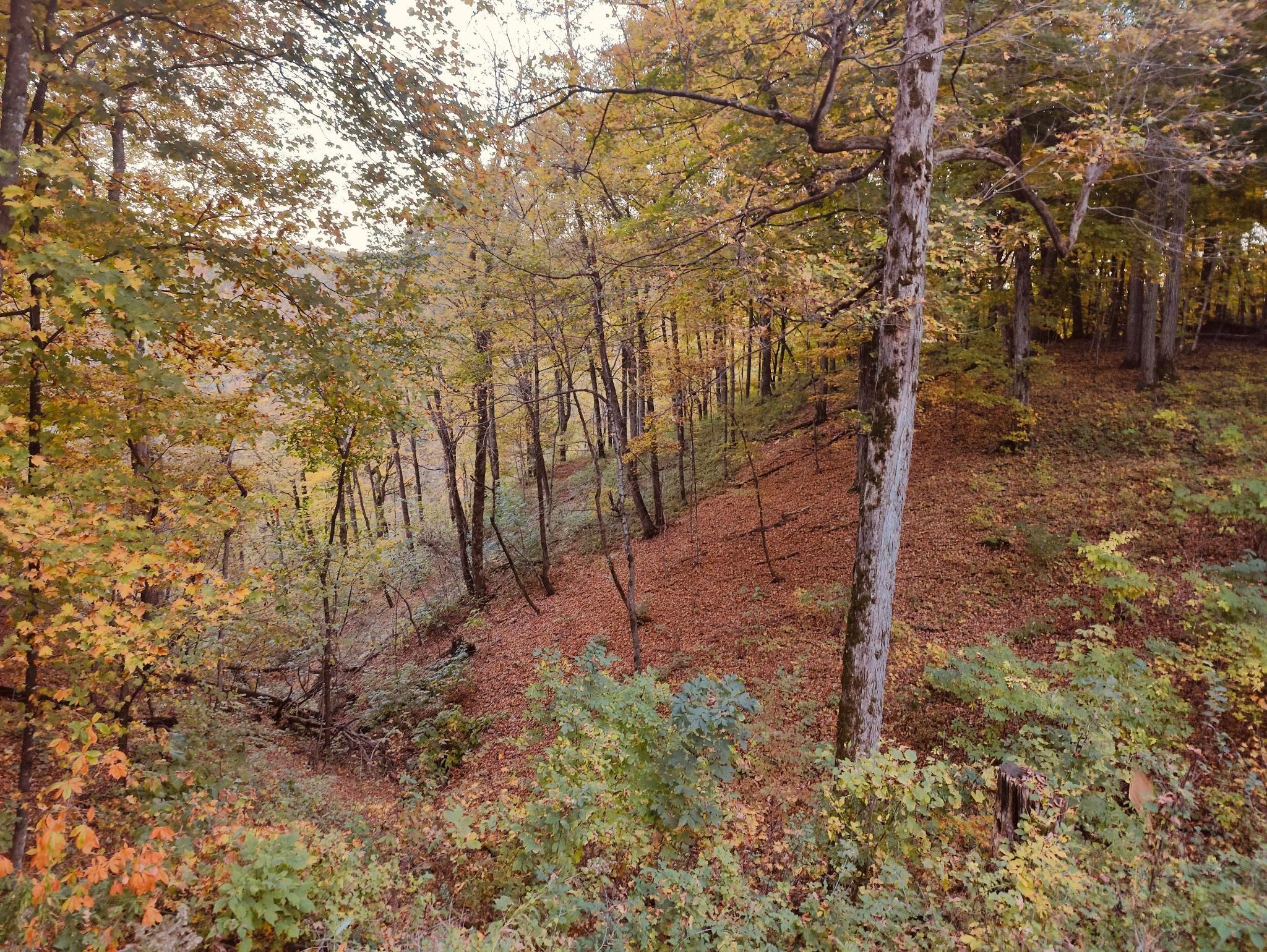 GA (27).jpg