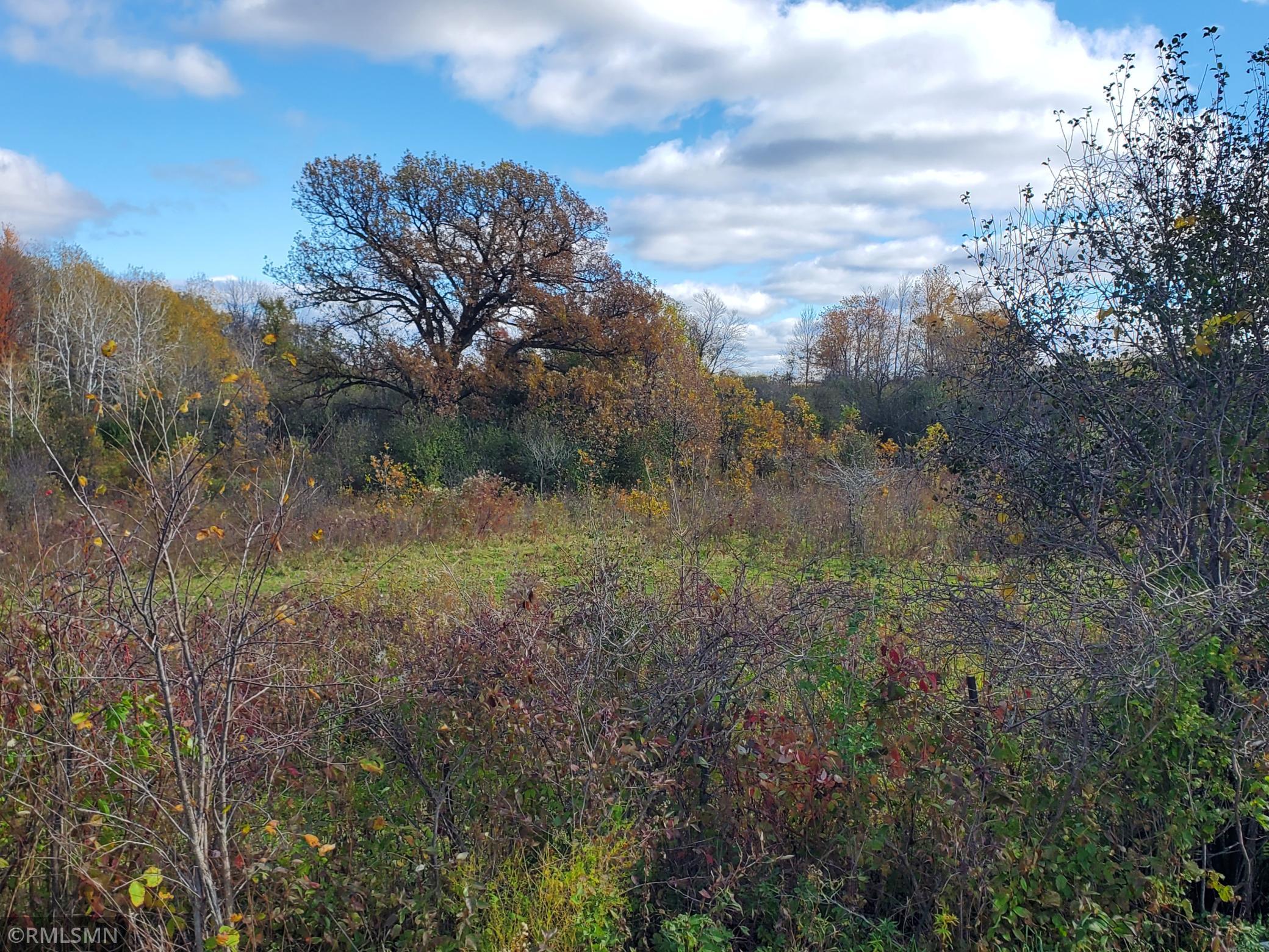 View to the east across the road.