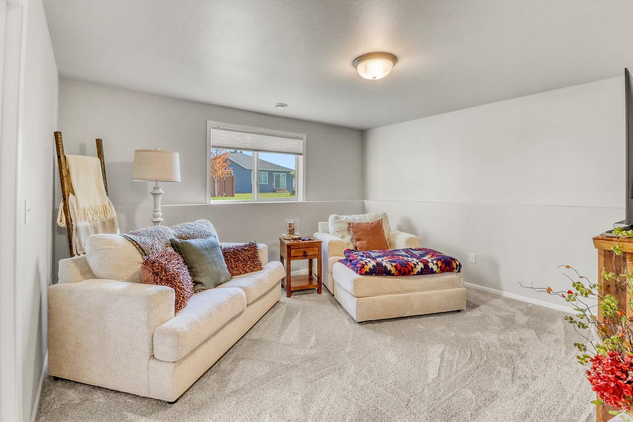 Lower Level Family Room