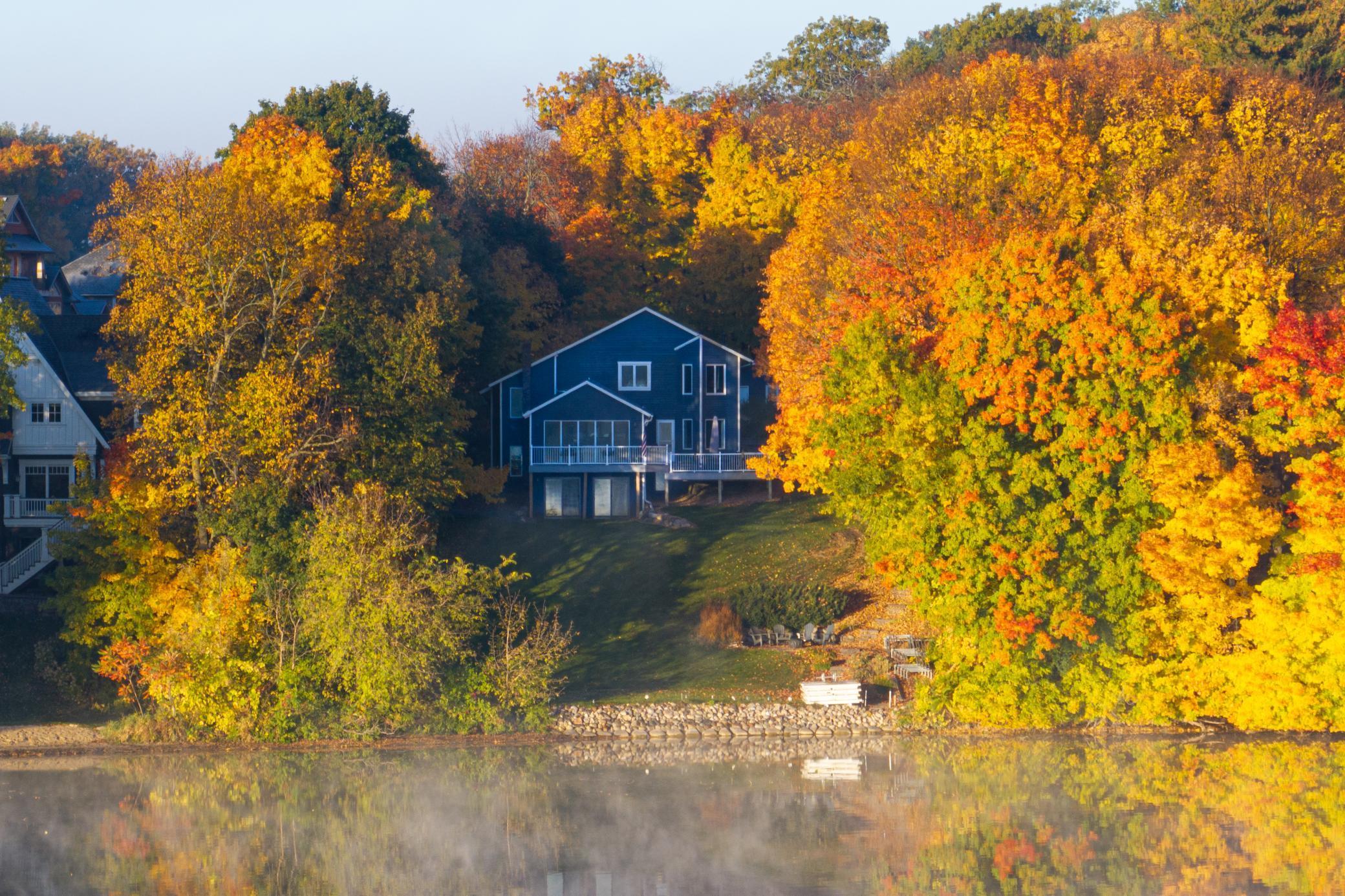 Peaceful Lotus Lakefront Setting