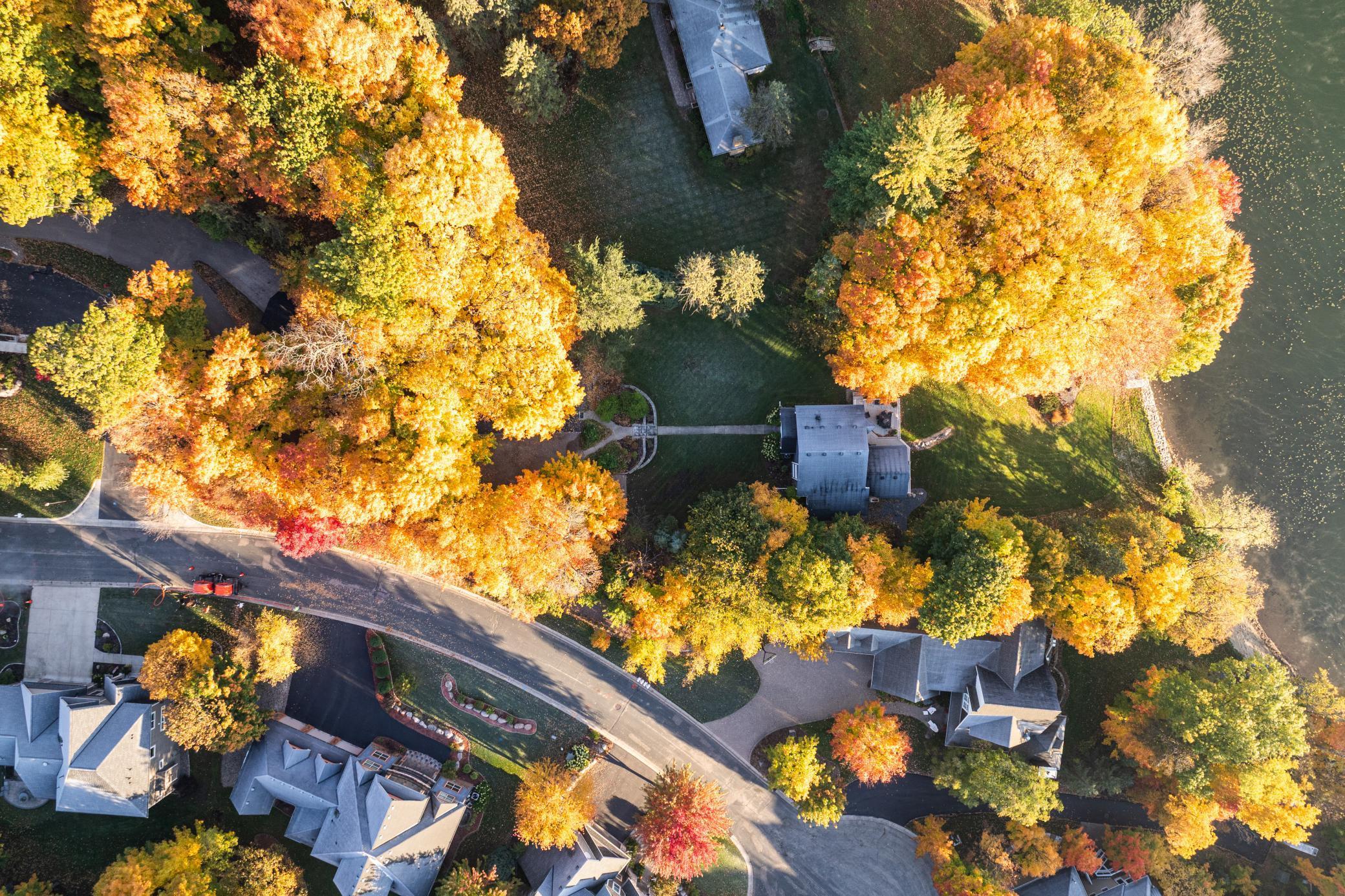 1.07 Acres on Lotus Lake