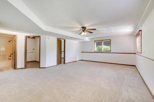 Lower level Family Room