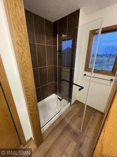 Glass Shower Door