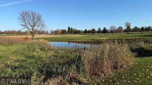 No Homes behind the home