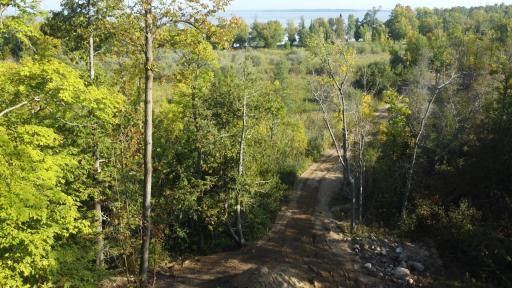 Here's the view from a potential additional building site back where the woods begins.