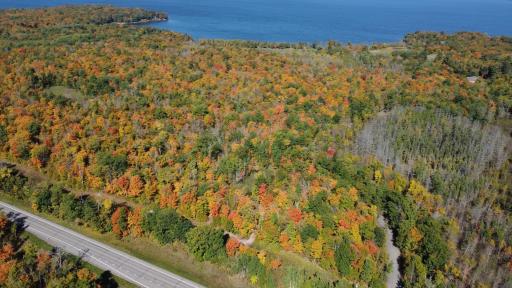 Look at the acres and acres of gorgeous hardwoods!