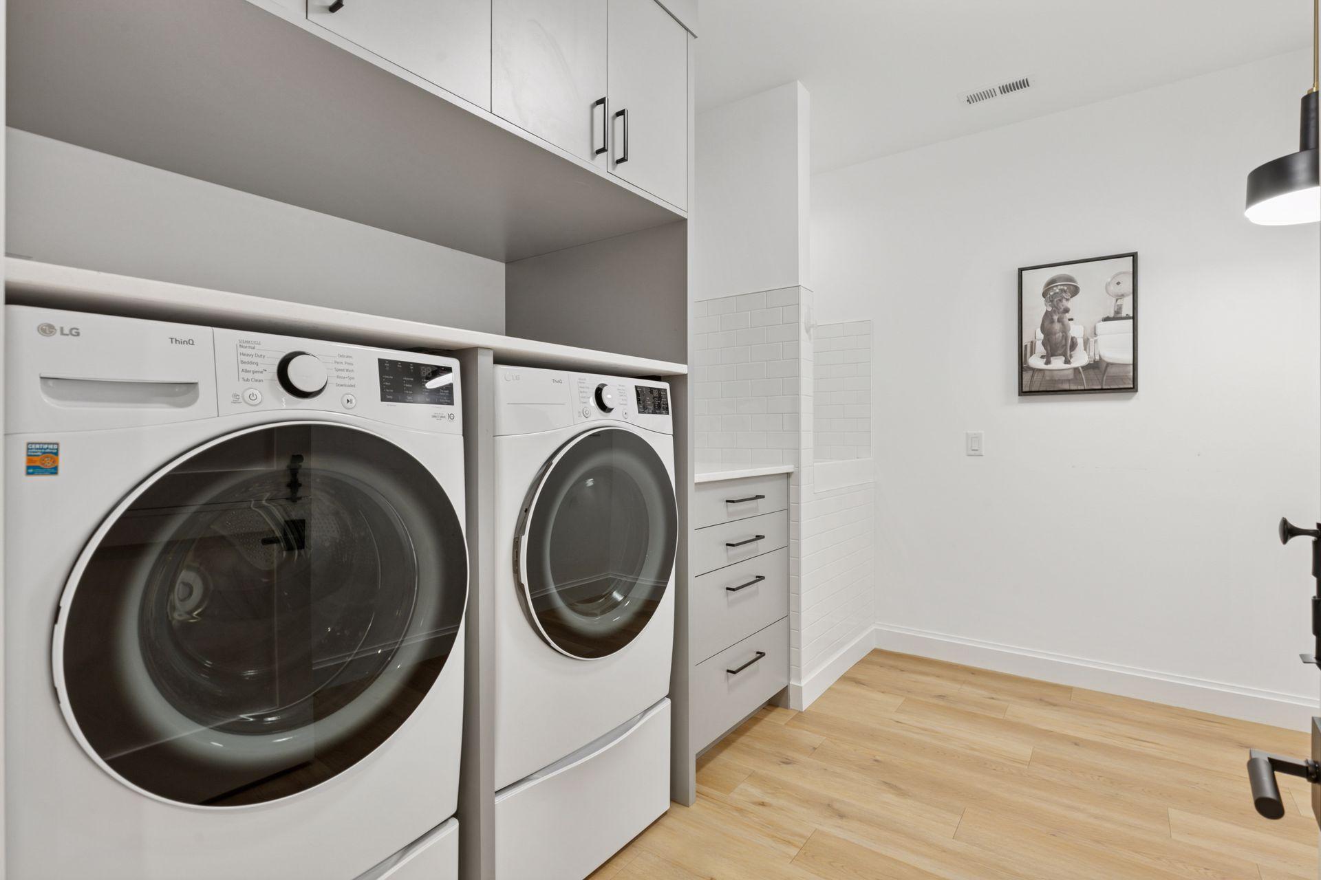 Lower level laundry and pet wash