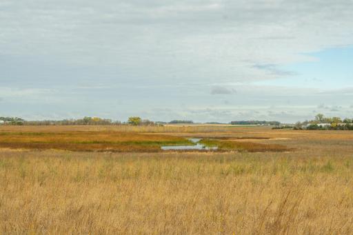 TBD 730th Ave, Olivia, MN 56277
