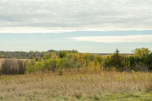 TBD 730th Ave, Olivia, MN 56277