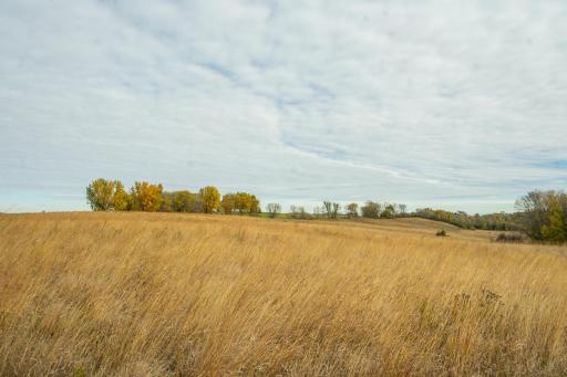 TBD 730th Ave, Olivia, MN 56277
