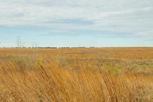 TBD 730th Ave, Olivia, MN 56277
