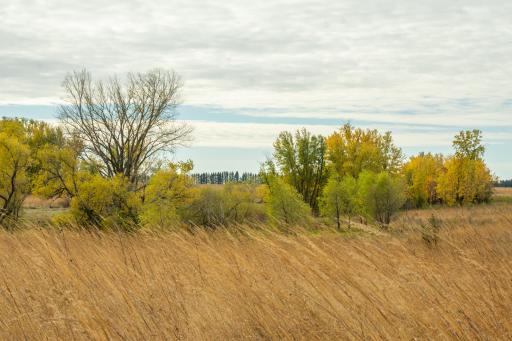 TBD 730th Ave, Olivia, MN 56277