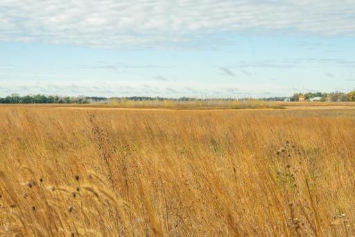 TBD 730th Ave, Olivia, MN 56277