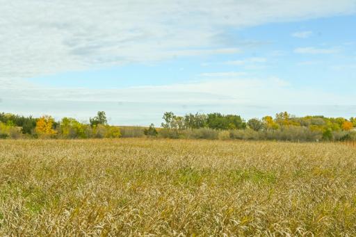 TBD 730th Ave, Olivia, MN 56277