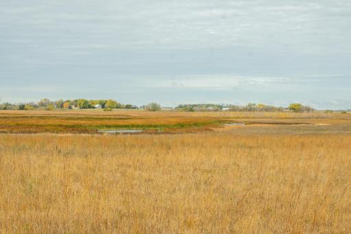 TBD 730th Ave, Olivia, MN 56277