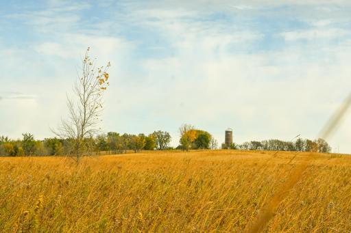 TBD 730th Ave, Olivia, MN 56277