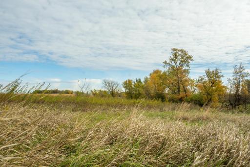 TBD 730th Ave, Olivia, MN 56277