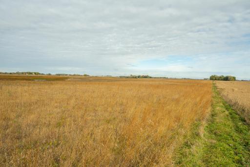 TBD 730th Ave, Olivia, MN 56277