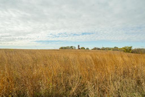 TBD 730th Ave, Olivia, MN 56277